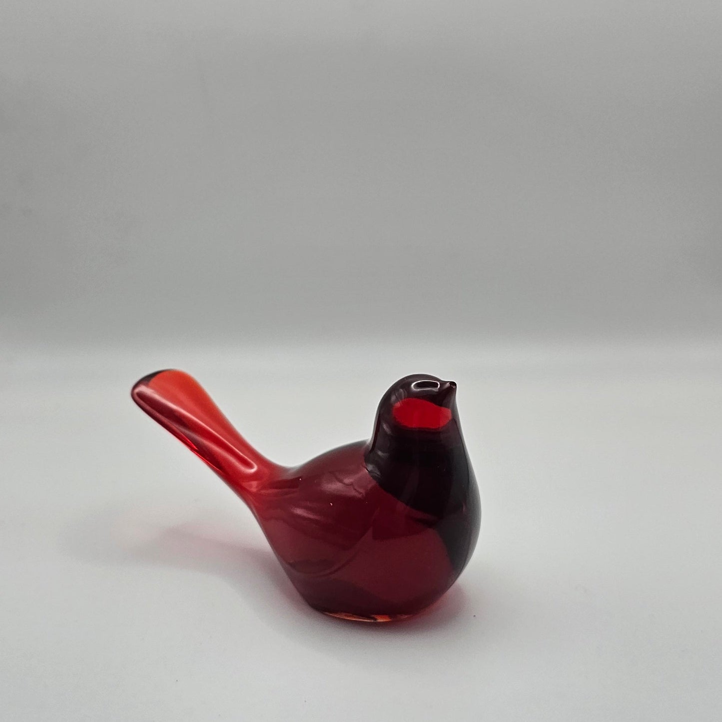 Bird Transparent Medium #52 ציפור קטנה