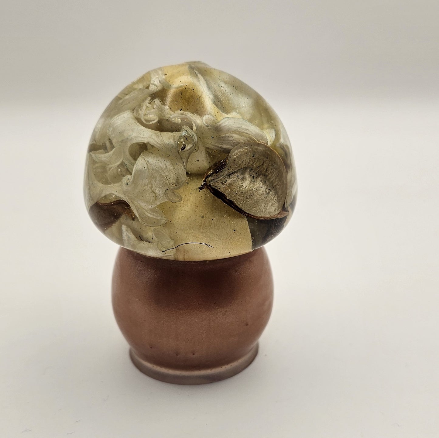 Mushroom Medium1 #117 פטריה בינונית