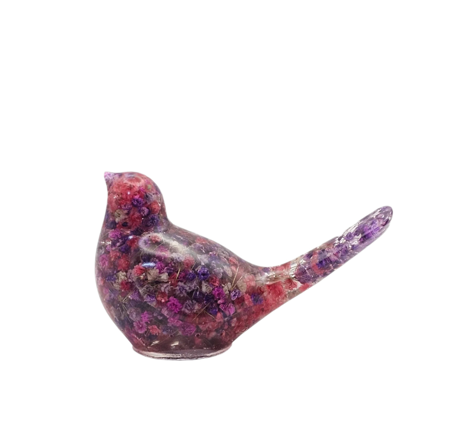 Bird Colorful Large #191 ציפור גדולה