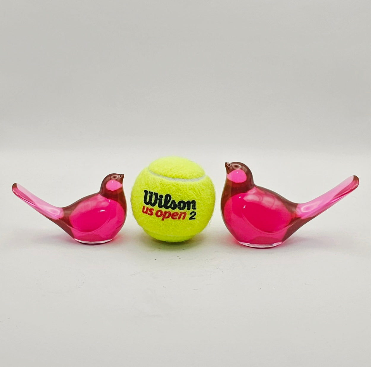 Bird Colorful Large #44 ציפור גדולה