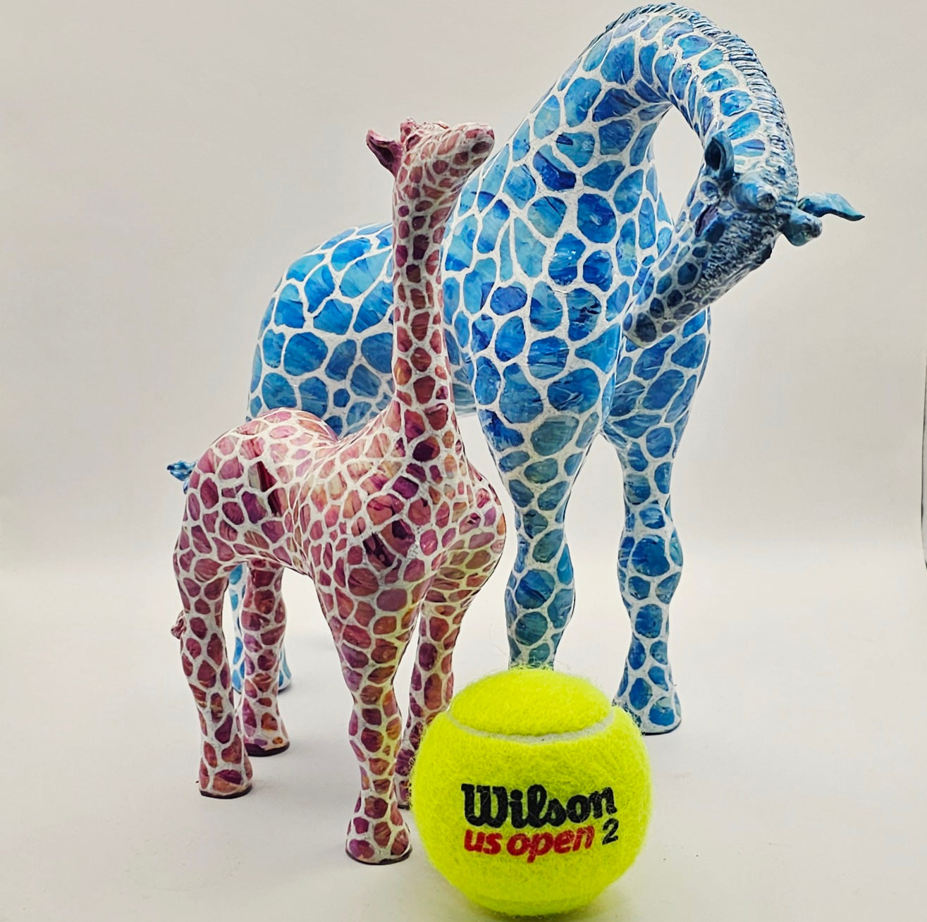 Colorful Giraffes ג'ירפות