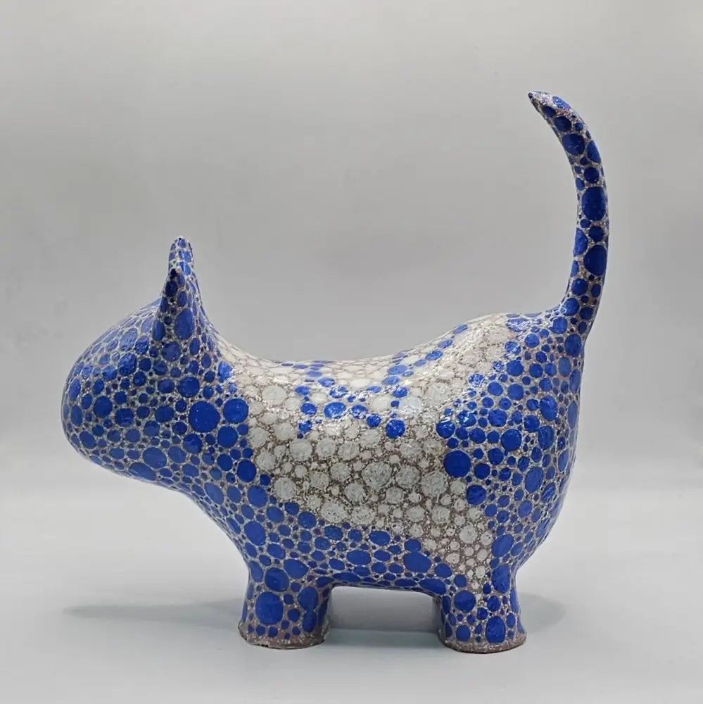 Zionist Cat #77 חתול ציוני Israel