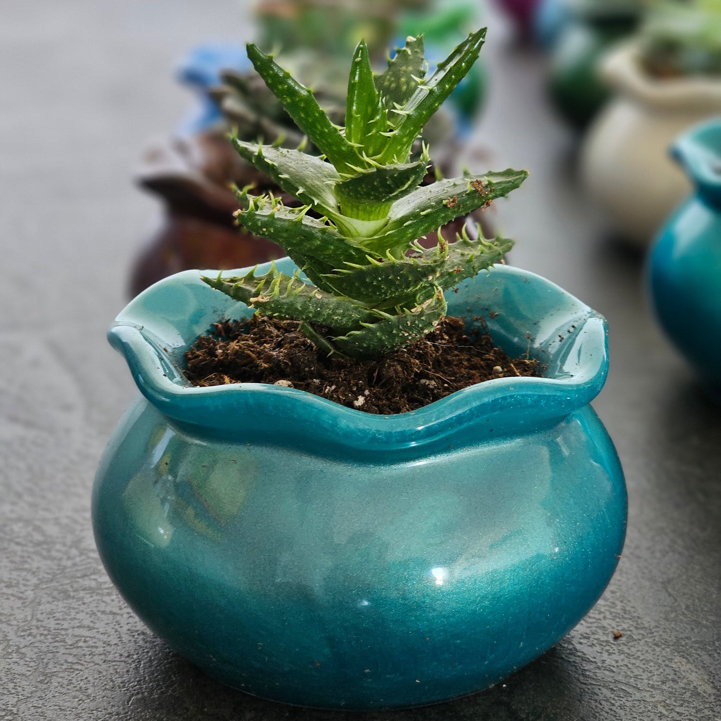 Flowerpot Large #126 כלי צבעוני