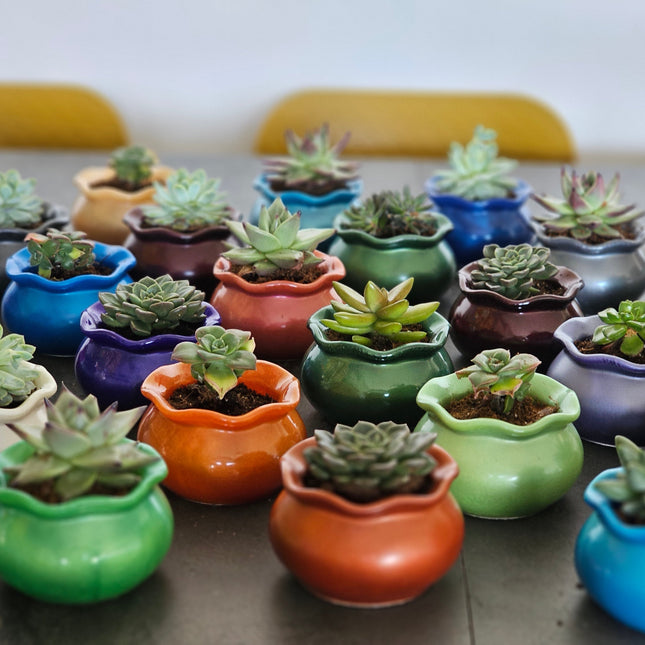 אגרטל צבעוני