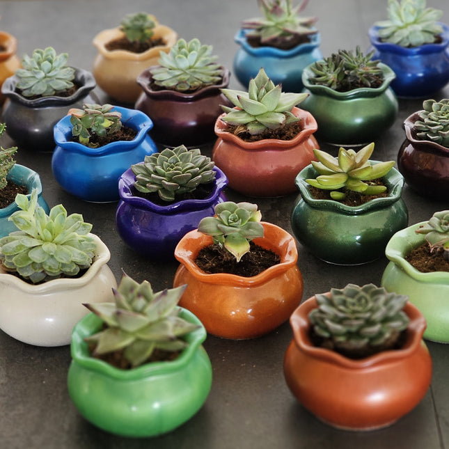 אגרטל צבעוני