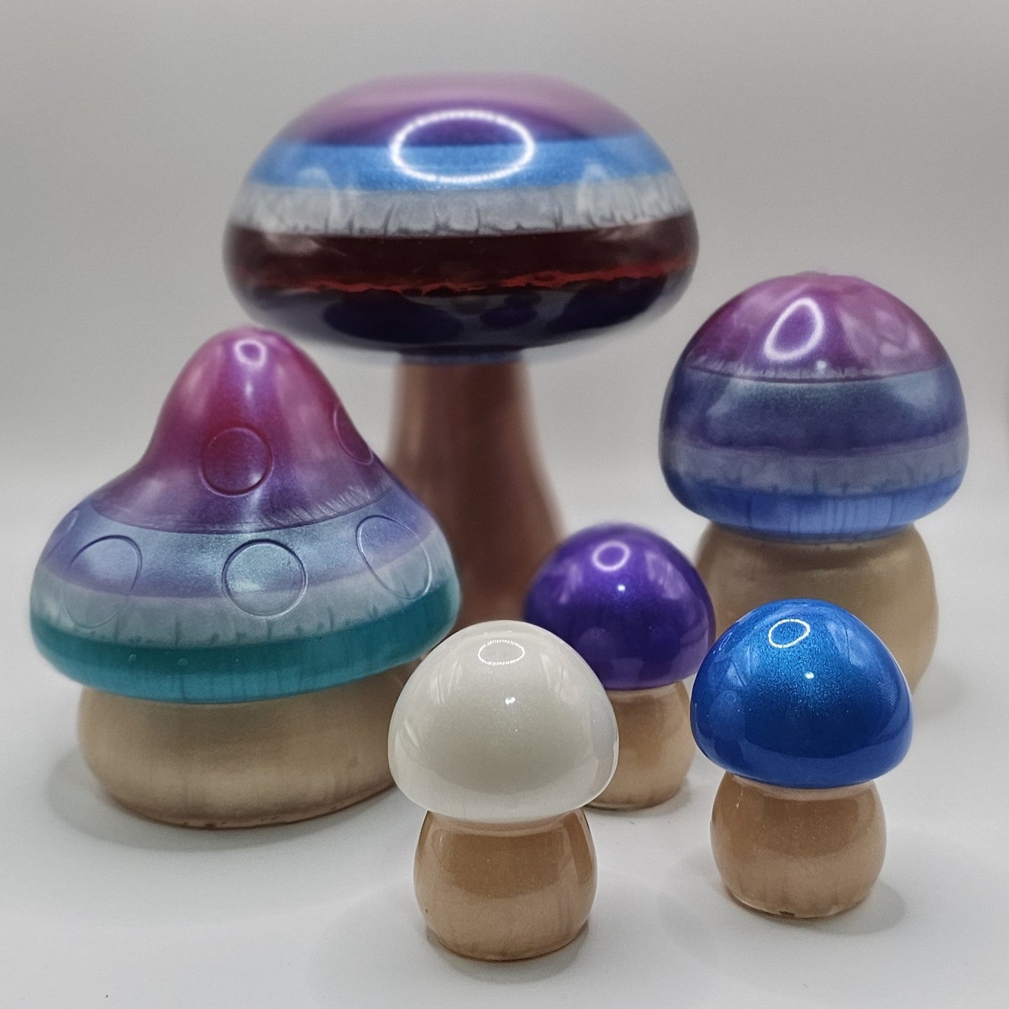 Mushroom Medium2 #14 פטריה בינונית