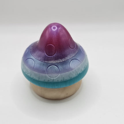 פטריה בינונית