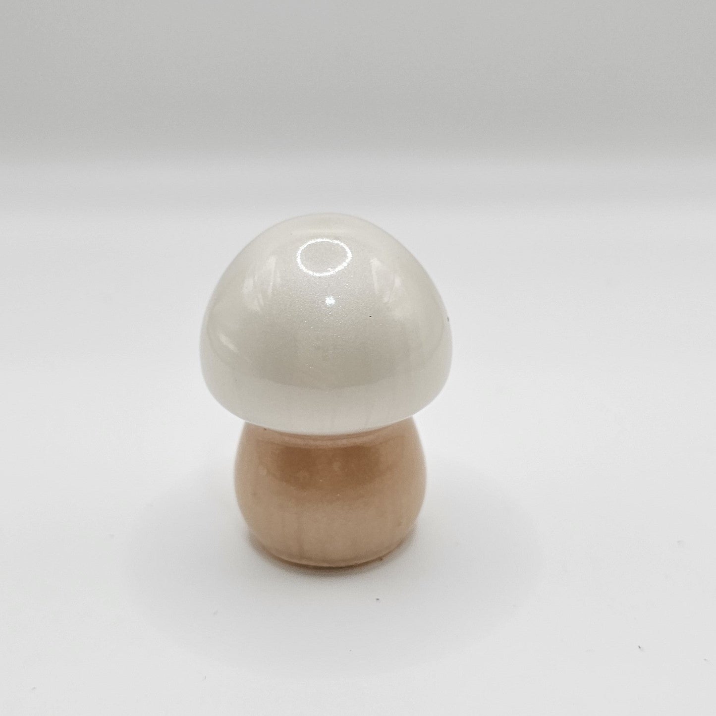 Mushroom Small1 #10 פטריה קטנה