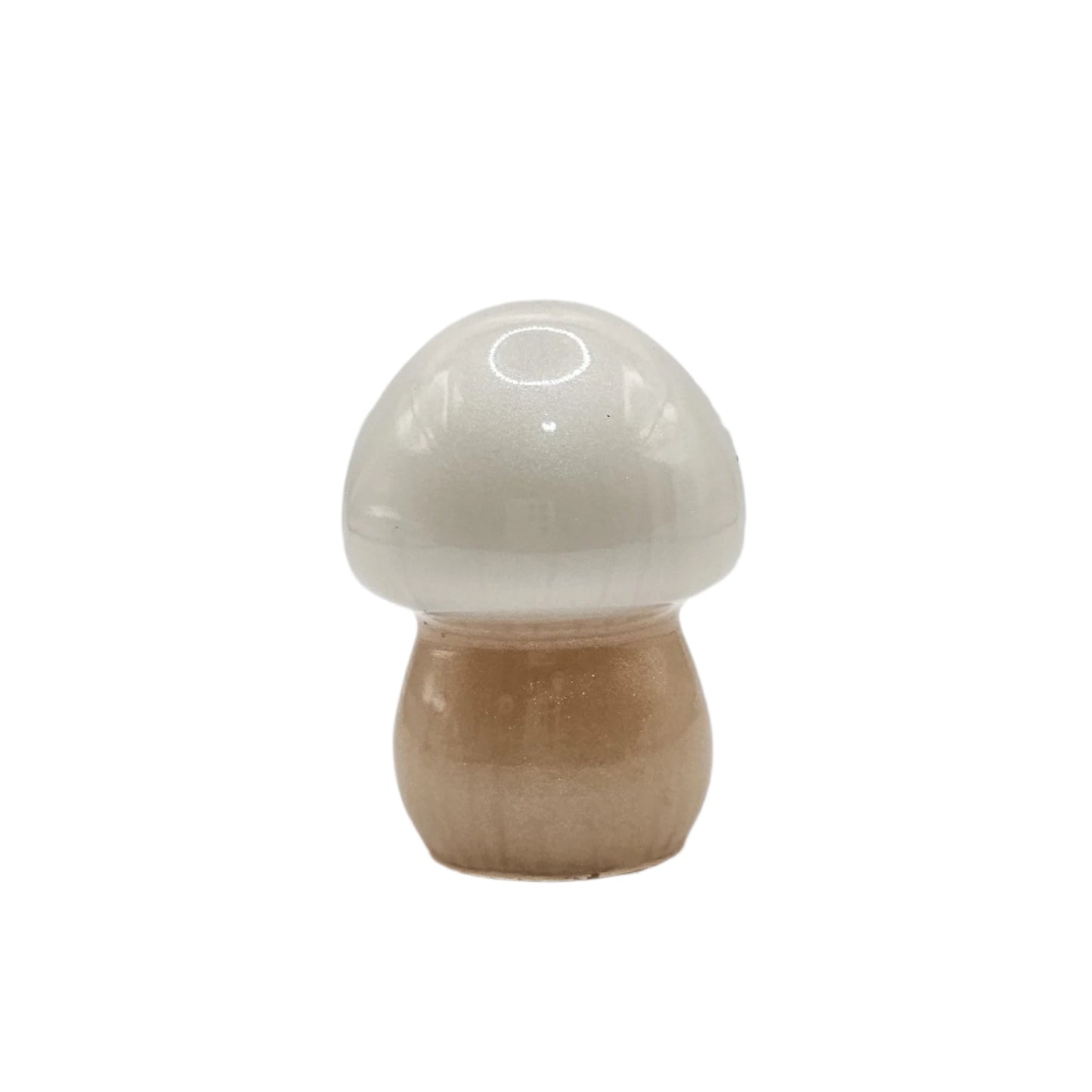 Mushroom Small1 #10 פטריה קטנה