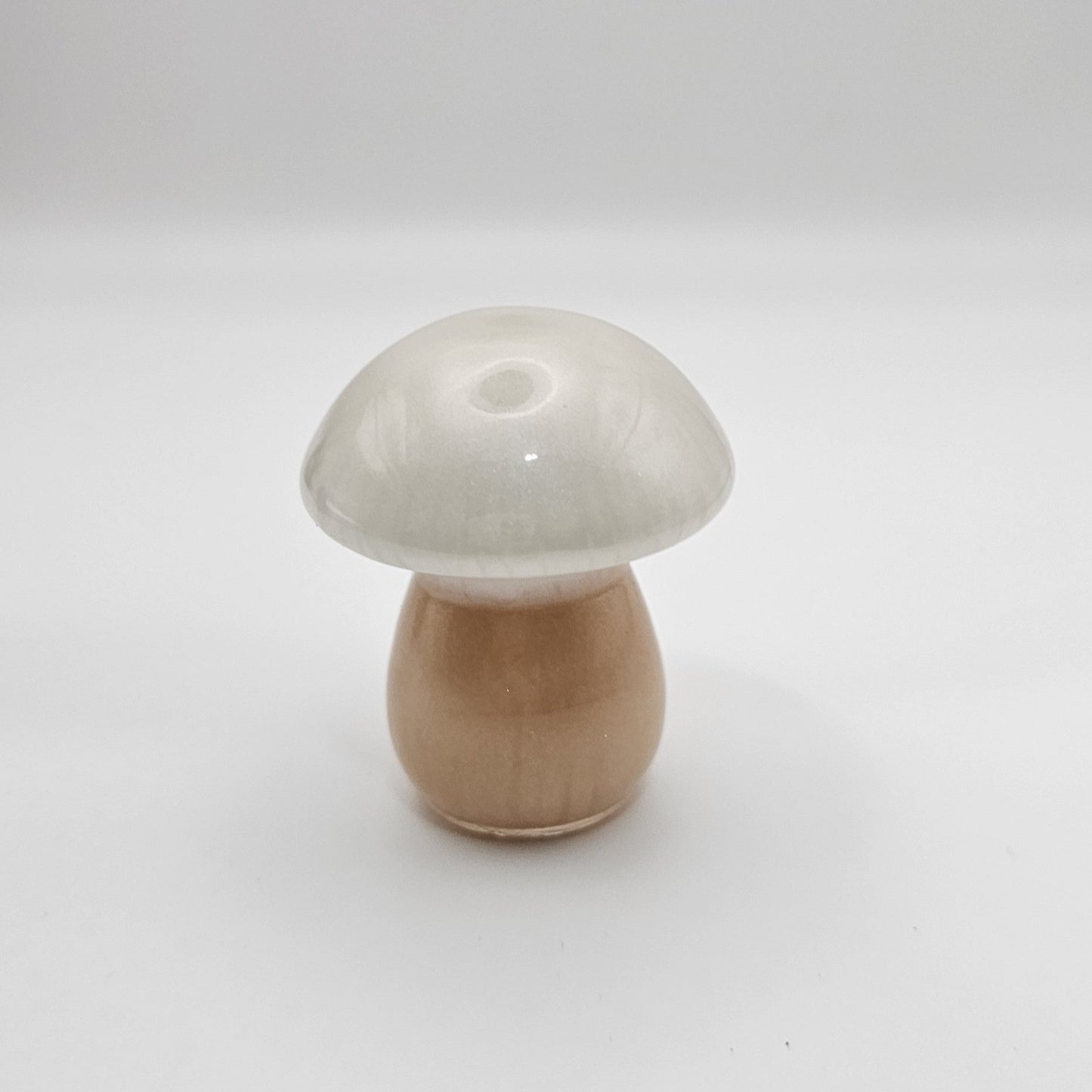Mushroom Small2 #5 פטריה קטנה