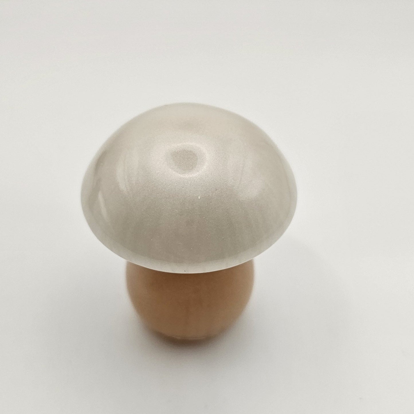 Mushroom Small2 #5 פטריה קטנה