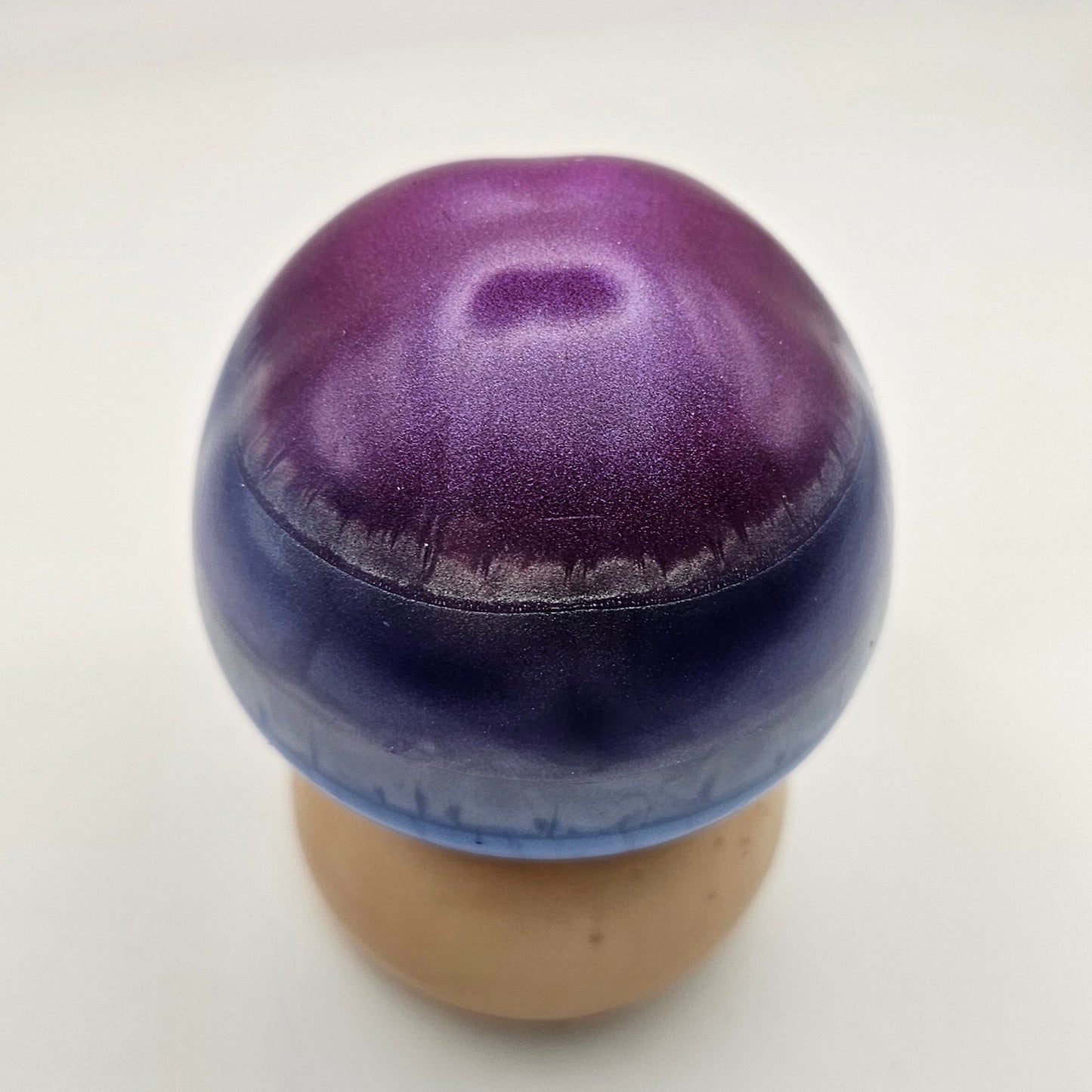 Mushroom Medium1 #23 פטריה בינונית