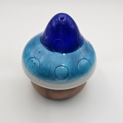 פטריה בינונית