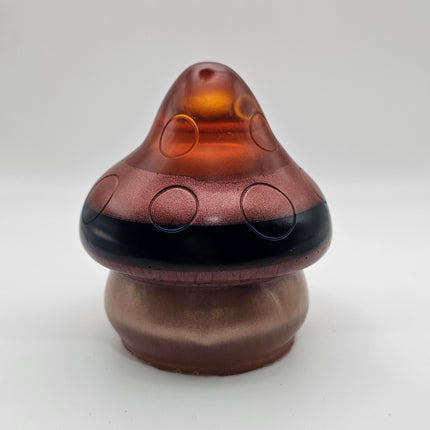 פטריה בינונית