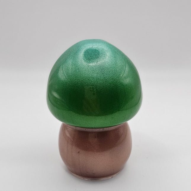 פטריה בינונית