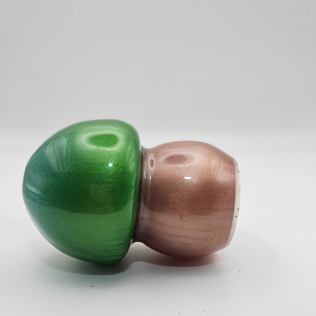 פטריה בינונית