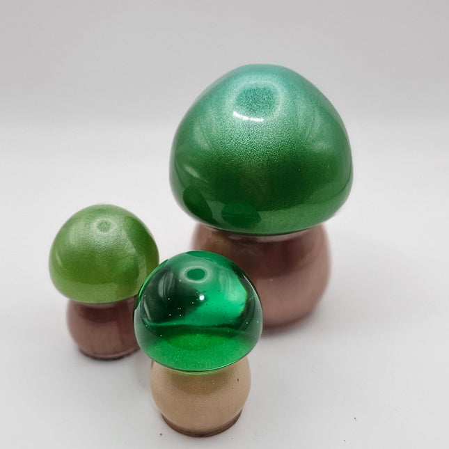 פטריה בינונית