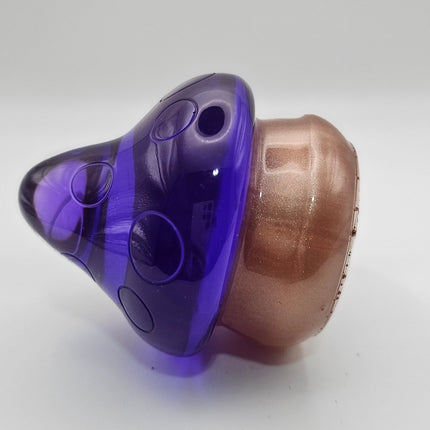 פטריה בינונית