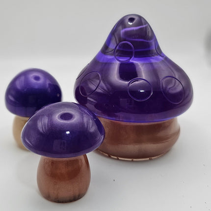 פטריה בינונית