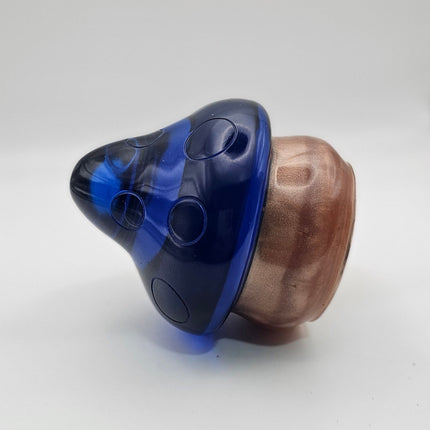 פטריה בינונית