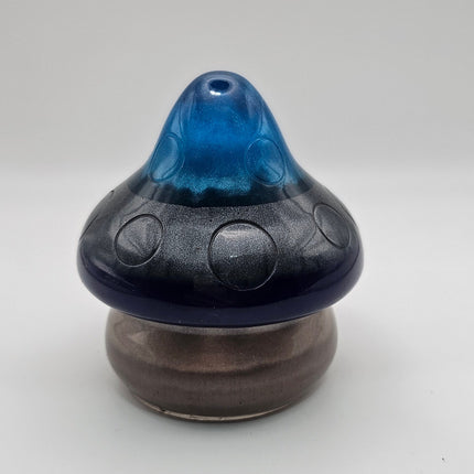 פטריה בינונית