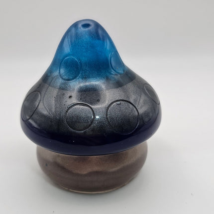 פטריה בינונית