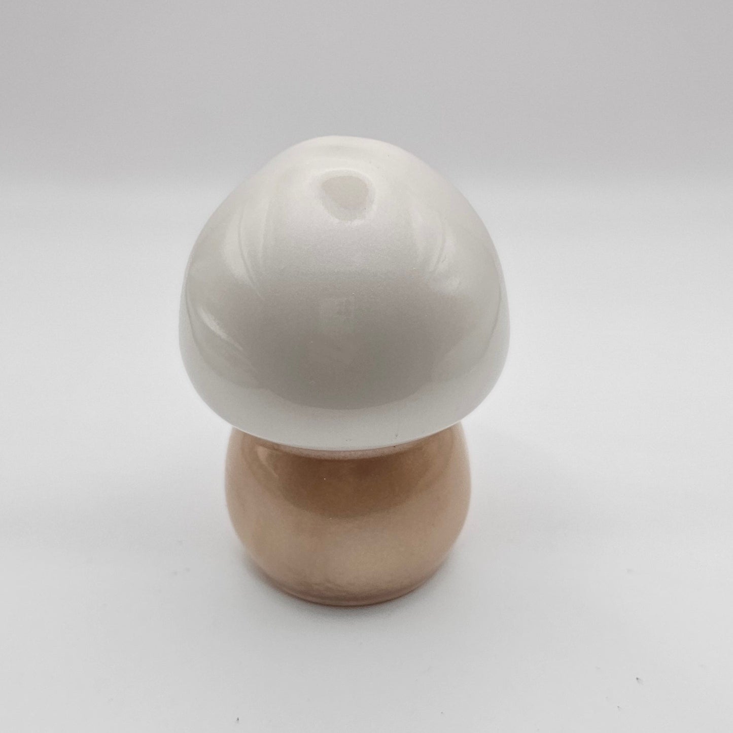 Mushroom Medium1 #21 פטריה בינונית