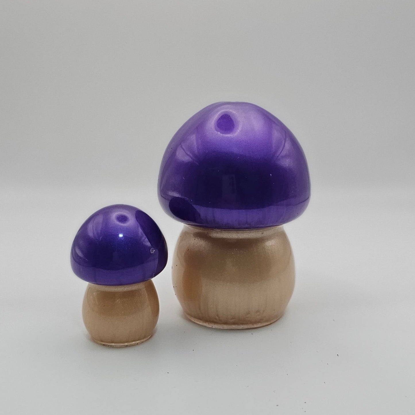 Mushroom Medium1 #24 פטריה בינונית