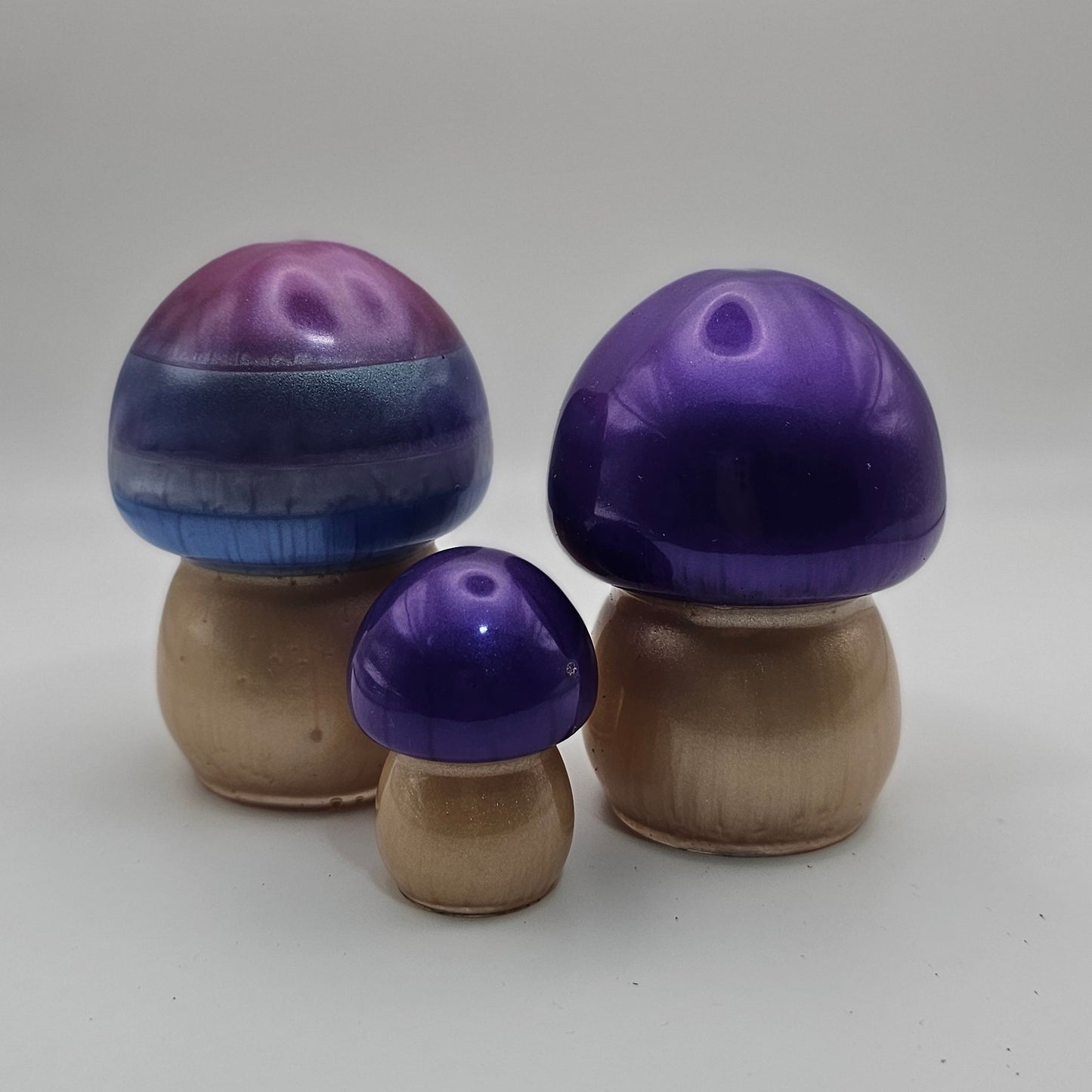 Mushroom Medium1 #23 פטריה בינונית