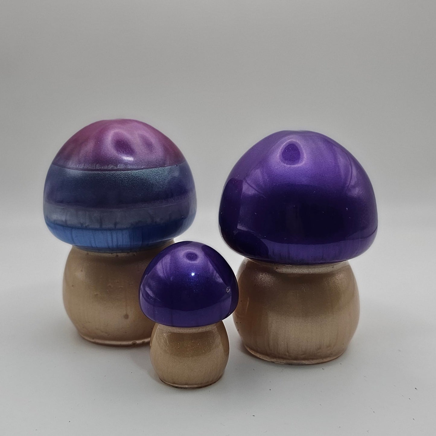 Mushroom Medium1 #24 פטריה בינונית