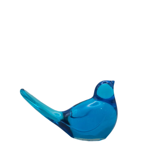 Bird Transparent Large #39 ציפור גדולה