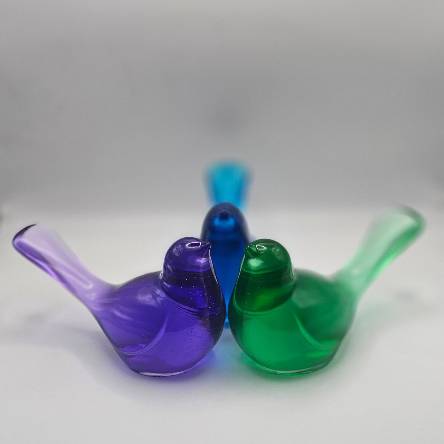 Bird Transparent Large #38 ציפור גדולה