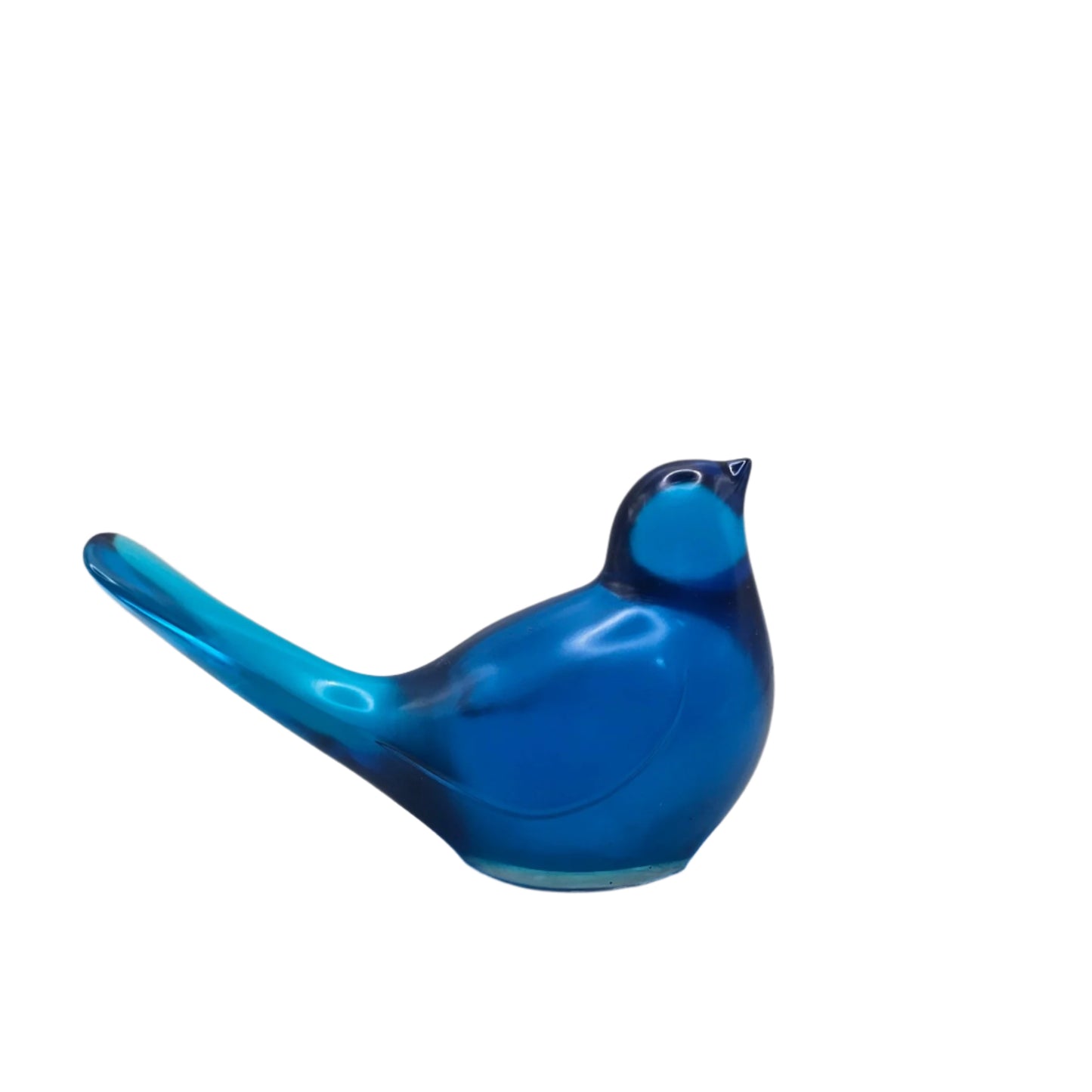 Bird Transparent Large #38 ציפור גדולה
