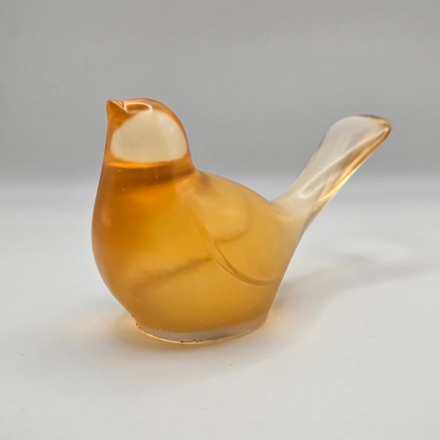 Bird Transparent Large #42 ציפור גדולה