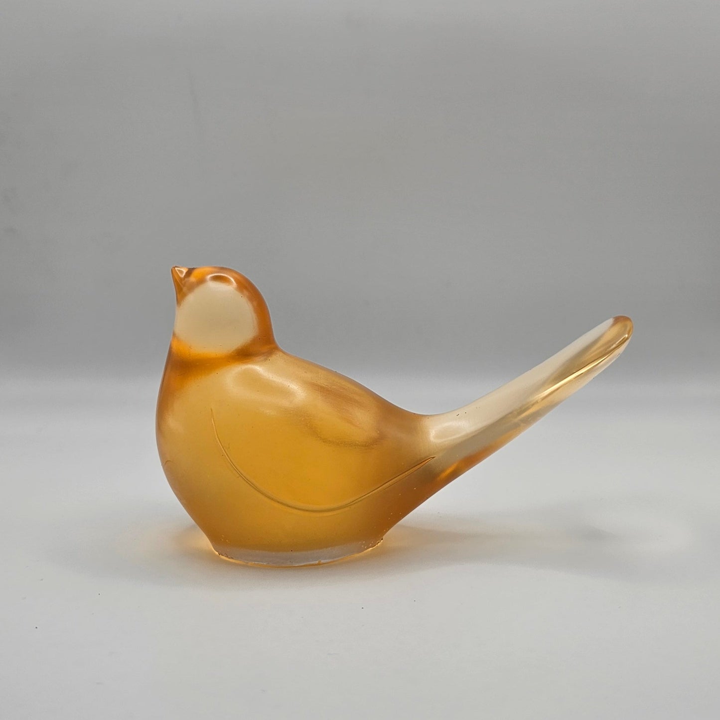 Bird Transparent Large #42 ציפור גדולה