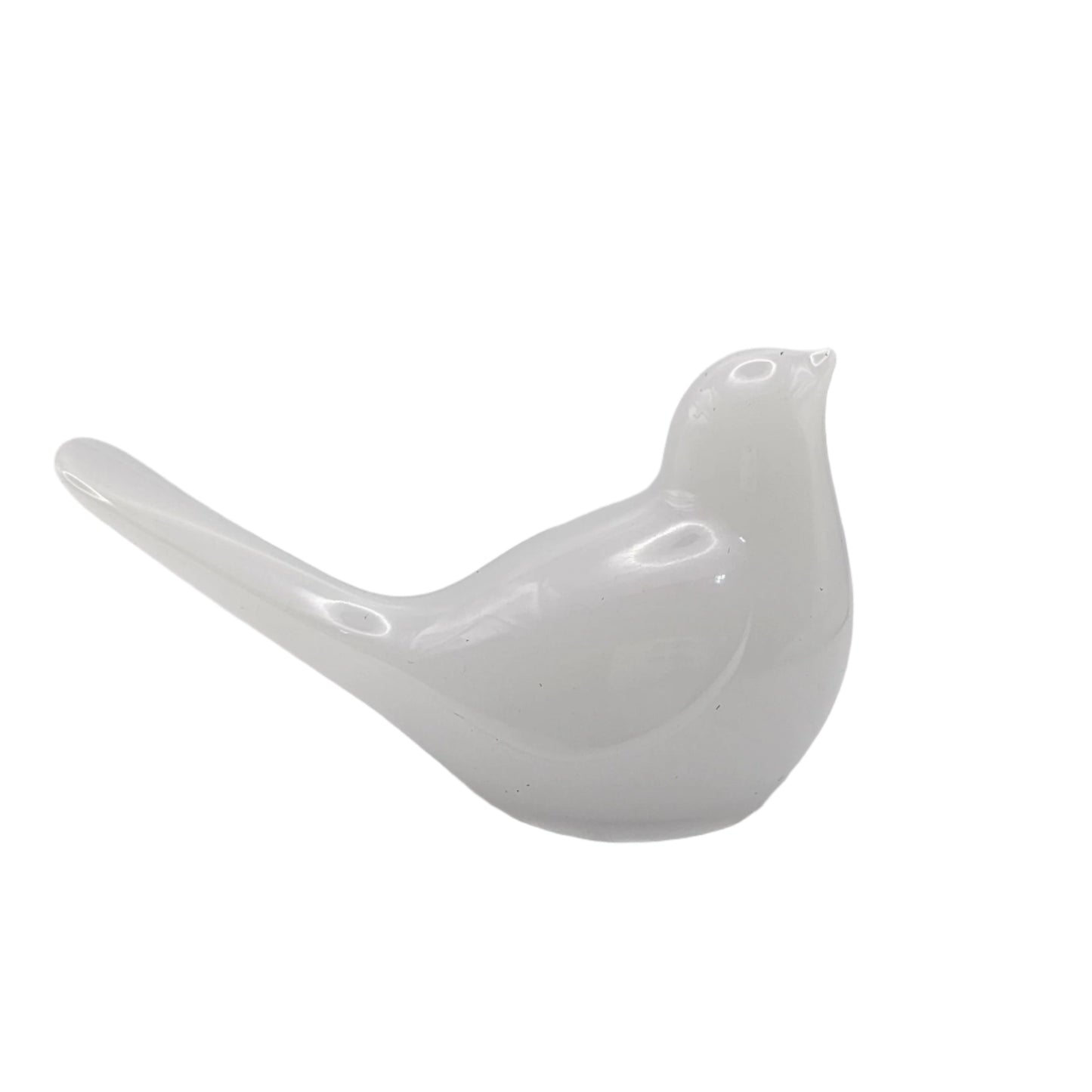 Bird Colorful Large #45 ציפור גדולה