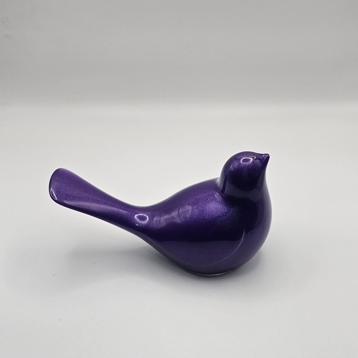 Bird Colorful Large #46 ציפור גדולה