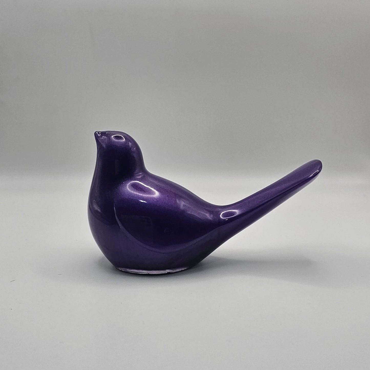Bird Colorful Large #46 ציפור גדולה