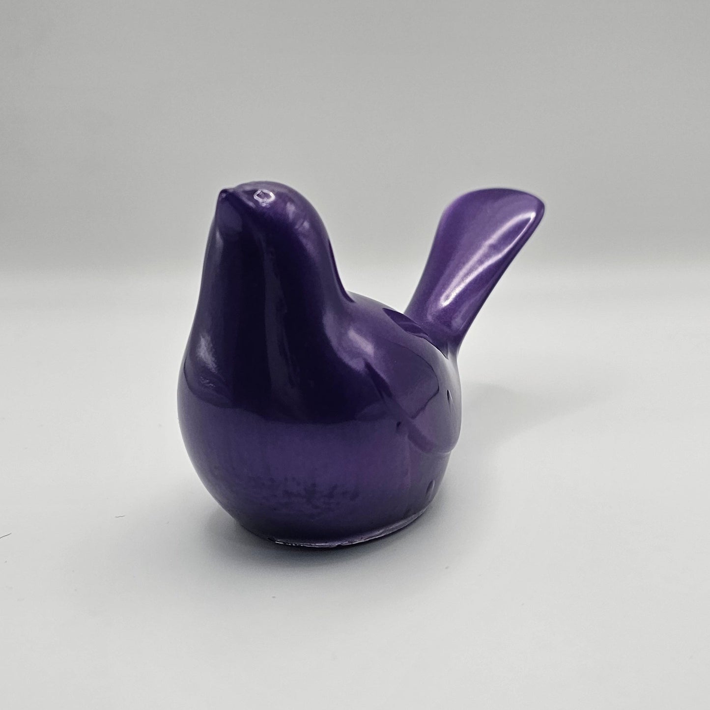 Bird Colorful Large #46 ציפור גדולה