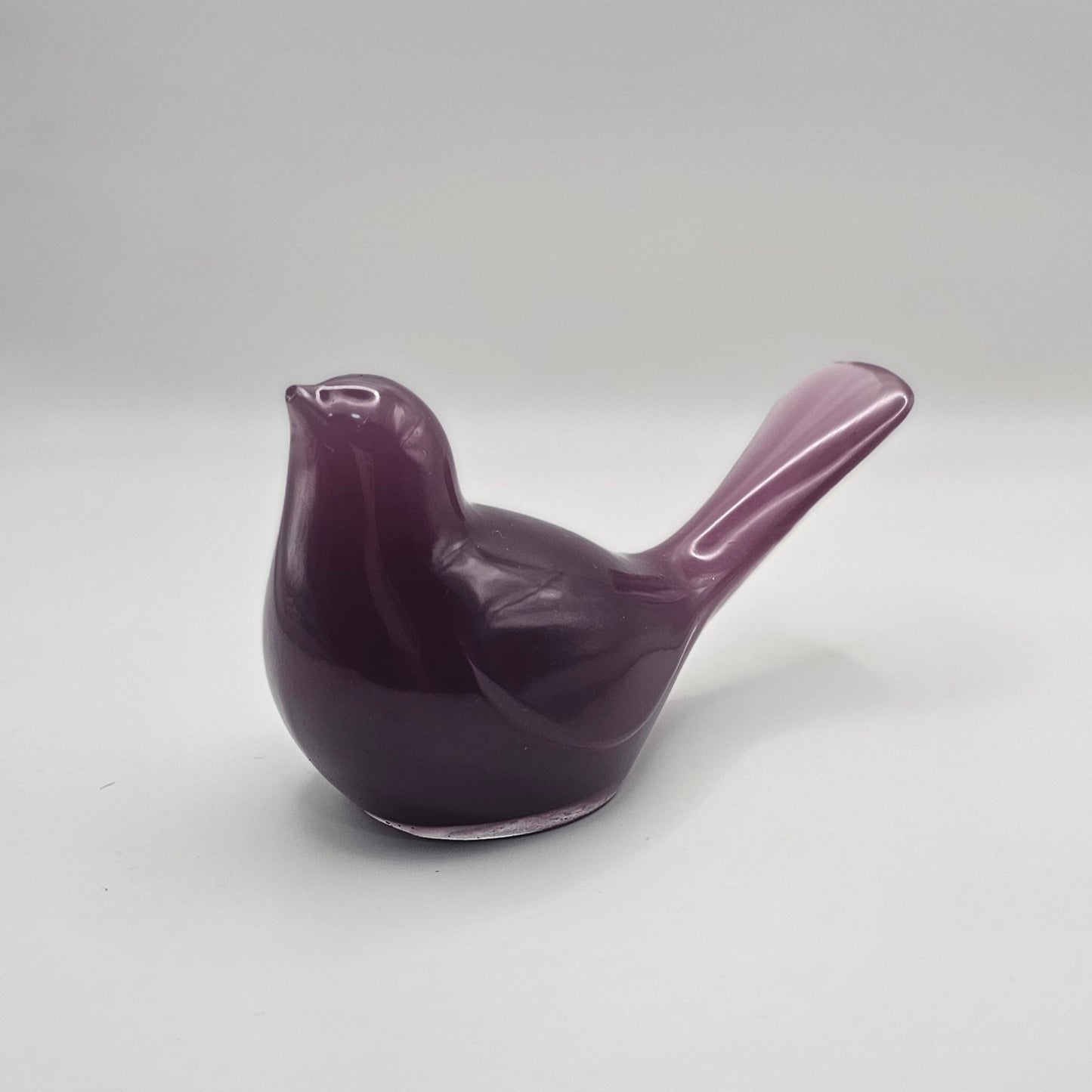 Bird Colorful Large #47 ציפור גדולה