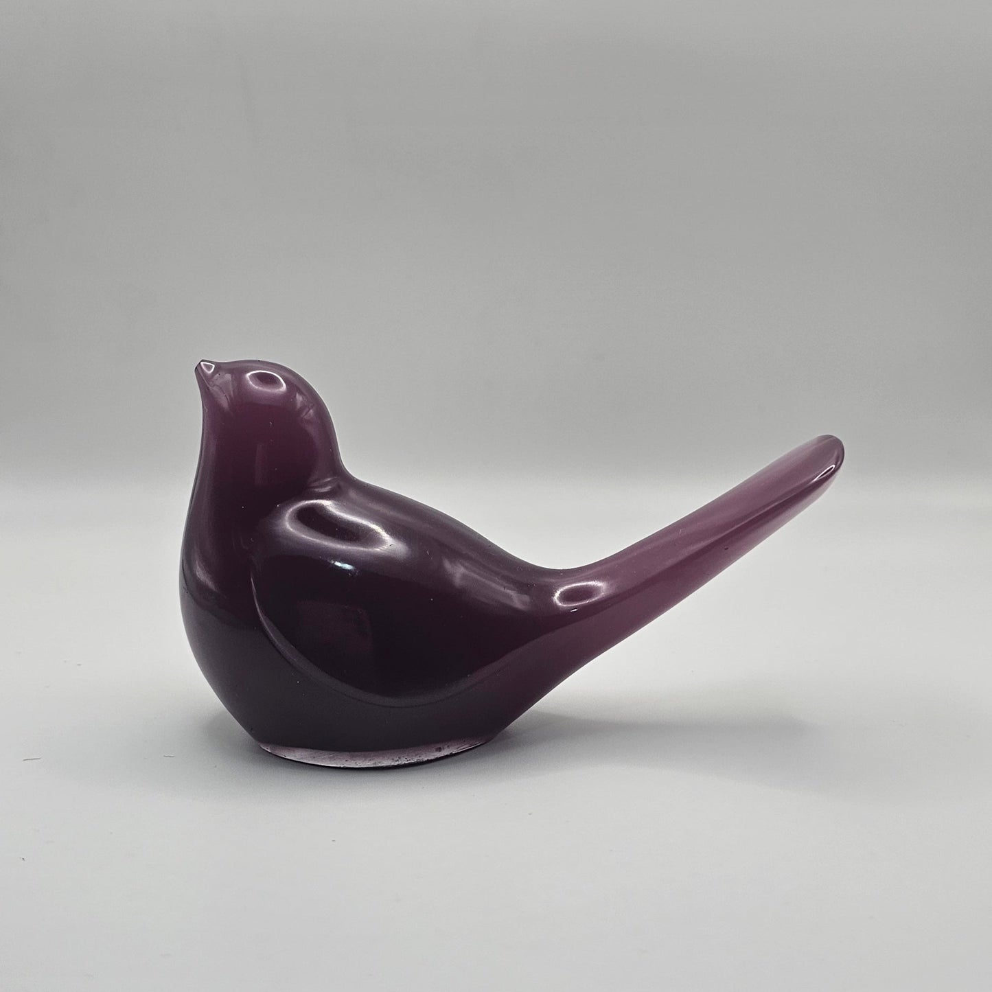 Bird Colorful Large #47 ציפור גדולה