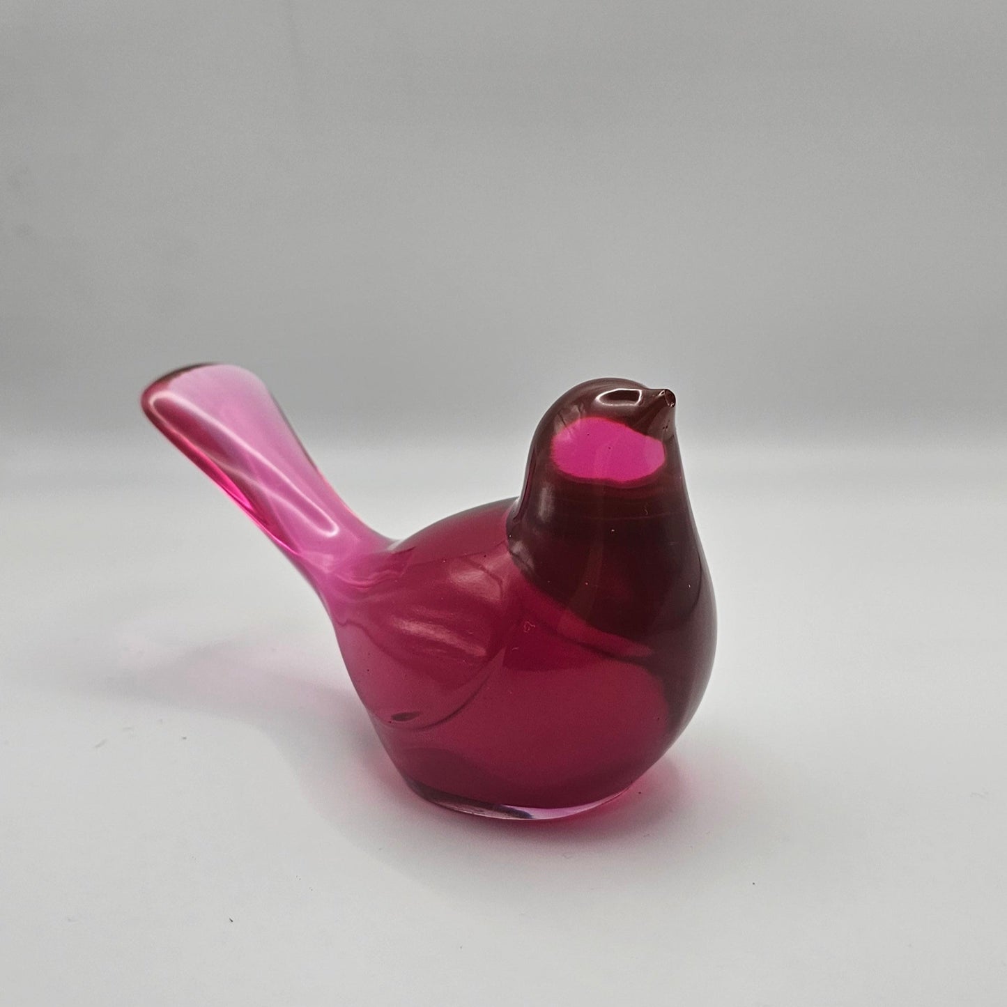 Bird Transparent Large #43 ציפור גדולה