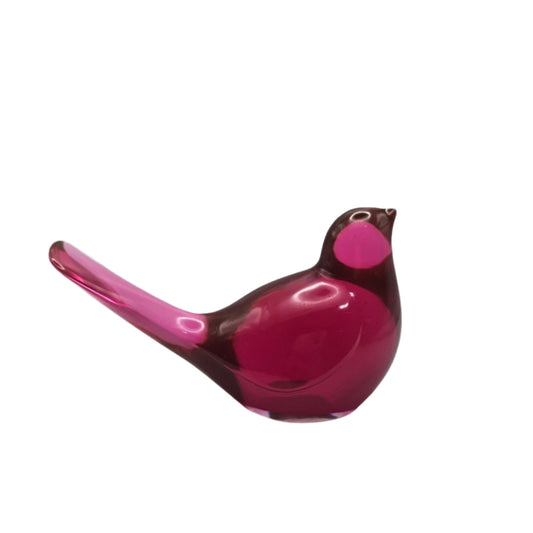 Bird Transparent Large #43 ציפור גדולה