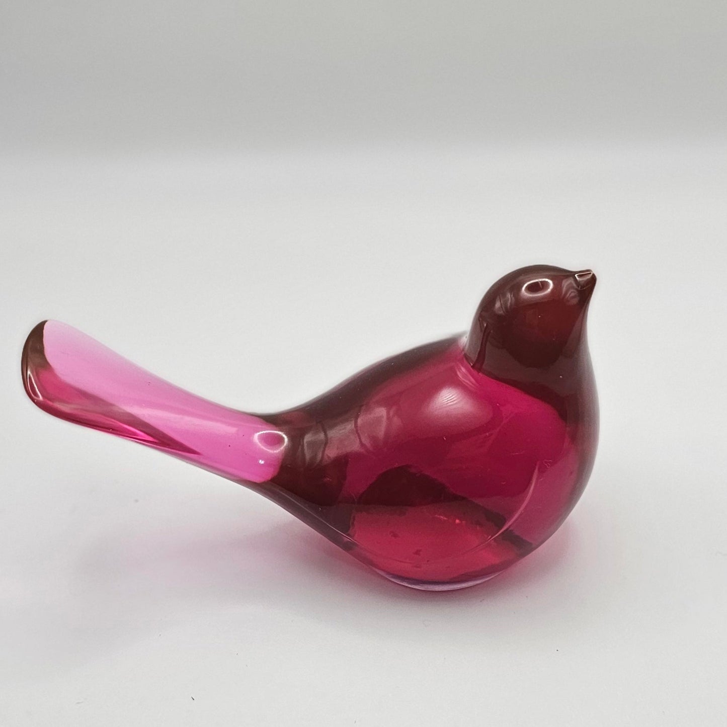 Bird Transparent Large #43 ציפור גדולה