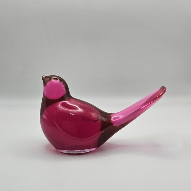 Bird Transparent Large #43