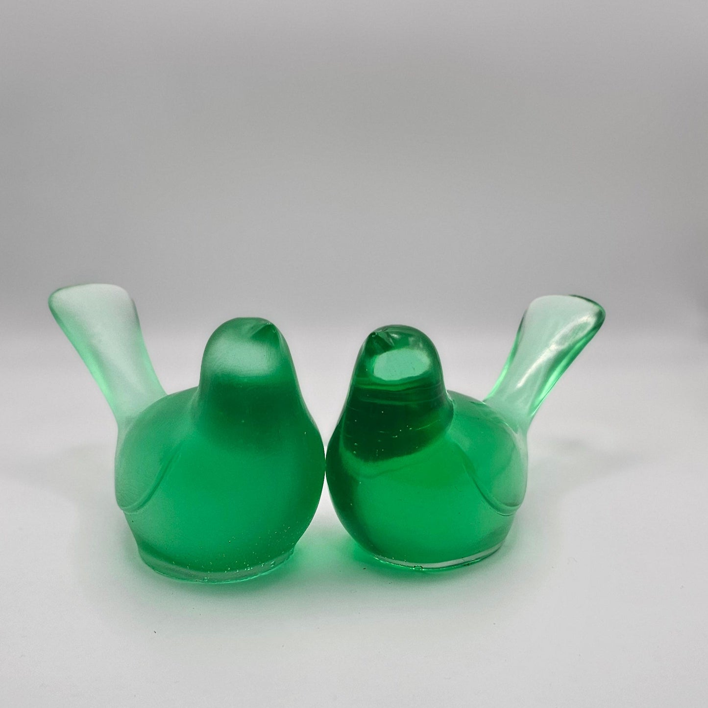 Bird Transparent Medium #51 ציפור קטנה