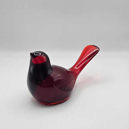 ציפור גדולה