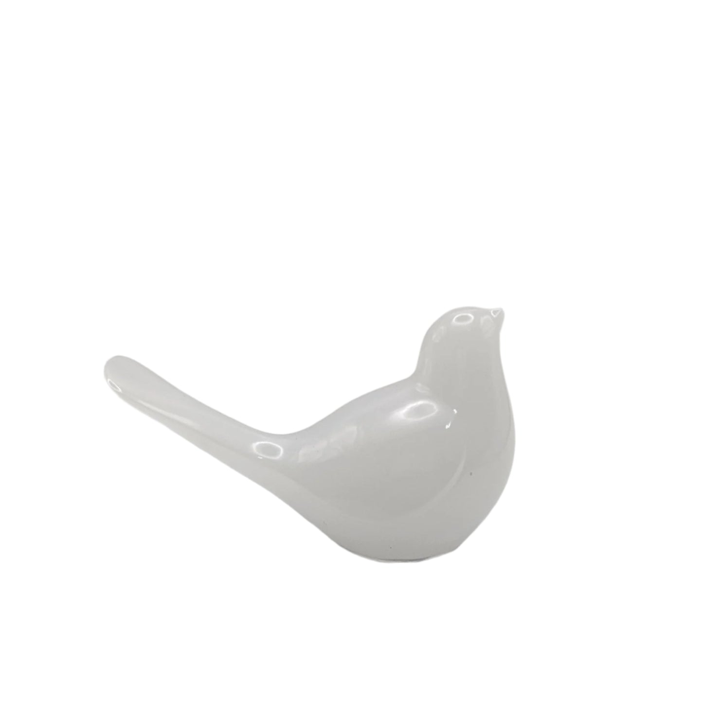 Bird Colorful Medium #55 ציפור קטנה