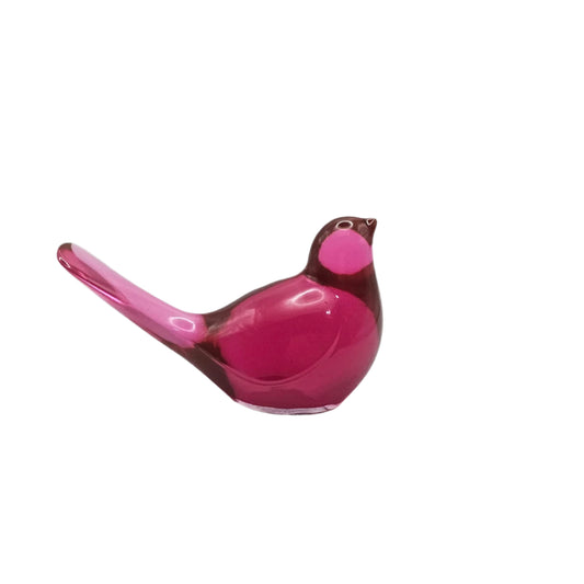 Bird Transparent Medium #54 ציפור קטנה