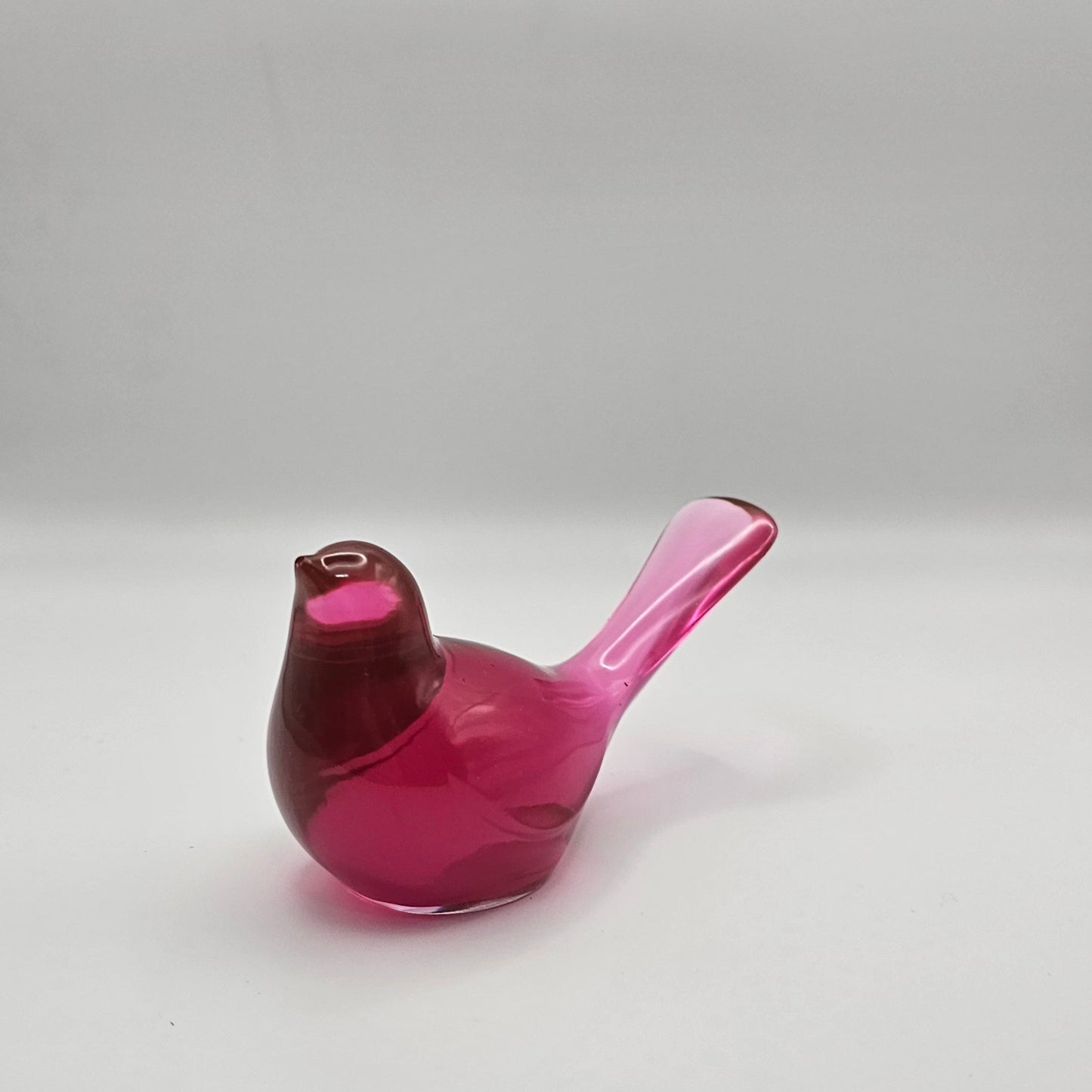 Bird Transparent Medium #54 ציפור קטנה
